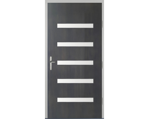 Innentür mit fünf Lichtausschnitten und Drückergarnitur