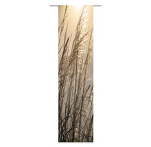 Schiebegardine Digitaldruck Caruso natur 60x245 cm