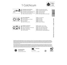 Verpackung einer Herbstzeitlose mit Hinweisen zu Bewässerung, Standort und Eigenschaften