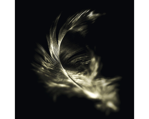 Glasbild The feather 30x30 cm