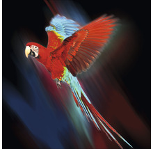Fliegender roter Ara