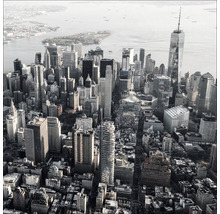 Luftaufnahme der Skyline von New York mit Wolkenkratzern und dem One World Trade Center.