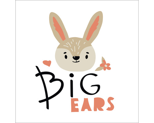 Leinwandbild Big Ears 27x27 cm