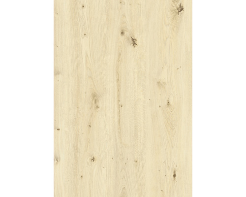 d-c-fix® Klebefolie Holdekor Scandinavian Oak 45x200 cm