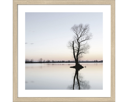 Gerahmtes Bild Tree in a lake 33x33 cm