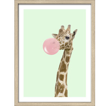 Gerahmtes Bild Giraffe chewing gum 33x43 cm