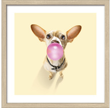 Gerahmtes Bild Dogs chewing gum I 33x33 cm