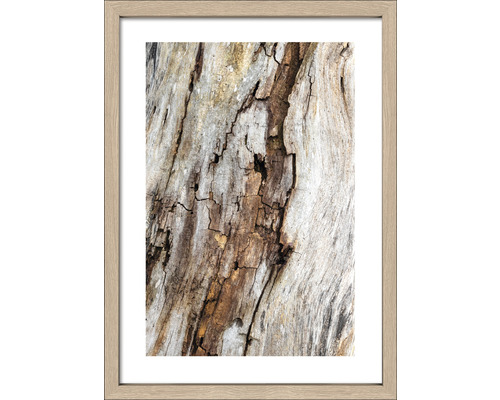 Gerahmtes Bild Old Wood II 33x43 cm