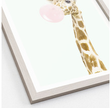 Gerahmtes Bild Giraffe chewing gum 33x43 cm