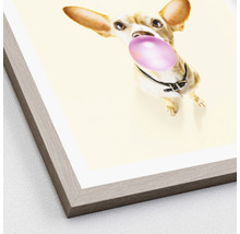 Gerahmtes Bild Dogs chewing gum I 33x33 cm