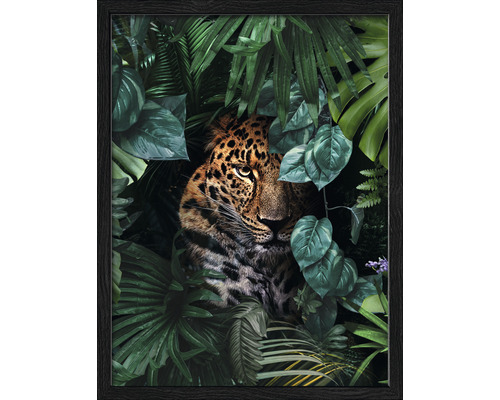 Gerahmtes Bild Jaguar in jungle 33x43 cm | HORNBACH