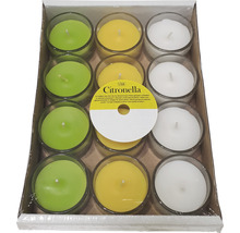 Duftteelicht Glas Citronella 12 Stk. grün gelb-thumb-0