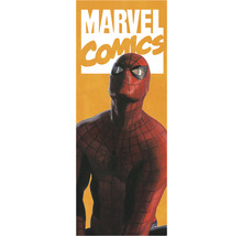 Marvel Comics Spider-Man Abbildung