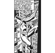 Fototapete Vlies IADX2-085 Into Adventure Spider-Man Classic Climb 2-tlg. 100 x 200 cm