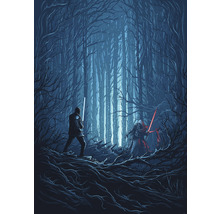 Fototapete Vlies IADX4-003 Into Adventure Star Wars Wood Fight 4-tlg. 200 x 280 cm
