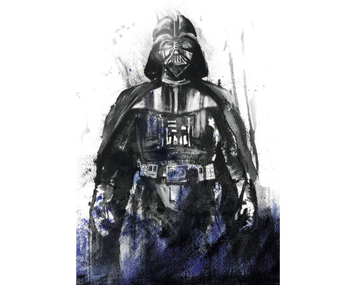 Fototapete Vlies IADX4-017 Into Adventure Star Wars Watercolor Vader 4-tlg. 200 x 280 cm