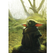 Fototapete Vlies IADX4-018 Into Adventure Mandalorian Grogu Acrylic 4-tlg. 200 x 280cm