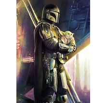 Fototapete Vlies IADX4-019 Into Adventure Mandalorian Savior 4-tlg. 200 x 280 cm