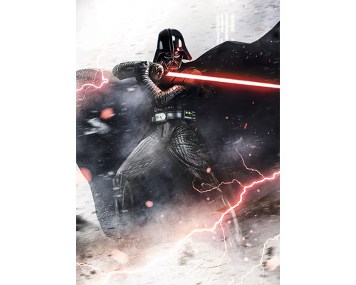 Fototapete Vlies IADX4-025 Into Adventure Star Wars Vader Dark Forces 4-tlg. 200 x 280 cm