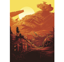 Fototapete Vlies IADX4-027 Into Adventure Star Wars Jakku Star Destroye 4-tlg. 200 x 280 cm