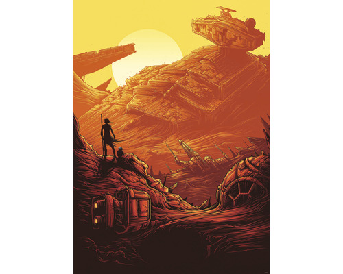 Fototapete Vlies IADX4-027 Into Adventure Star Wars Jakku Star Destroye 4-tlg. 200 x 280 cm