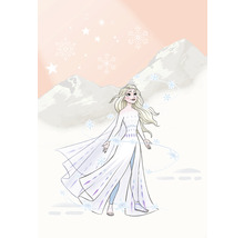 Fototapete Vlies IADX4-041 Into Adventure Disney Frozen Winter Magic 4-tlg. 200 x 280 cm