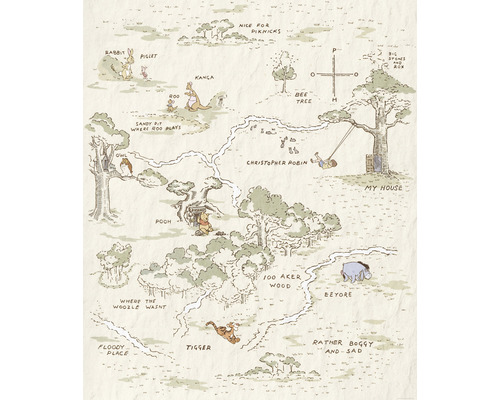 Fototapete Vlies IADX4-042 Into Adventure Winnie Pooh Map 4-tlg. 200 x 240 cm