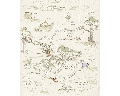 Fototapete Vlies IADX4-042 Into Adventure Winnie Pooh Map 4-tlg. 200 x 240 cm Illustration einer Karte des Hundert-Morgen-Waldes mit Winnie Puuh und seinen Freunden