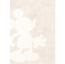 Mickey Mouse Silhouette auf Leinwand