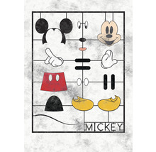 Fototapete Vlies IADX4-053 Into Adventure Disney Mickey Kit 4-tlg. 200 x 280 cm