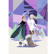 Fototapete Vlies IADX4-059 Into Adventure Disney Frozen Abstract Arendelle 4-tlg. 200 x 280 cm