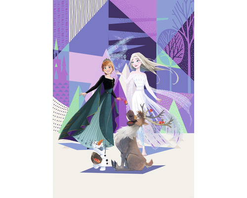 Fototapete Vlies IADX4-059 Into Adventure Disney Frozen Abstract Arendelle 4-tlg. 200 x 280 cm