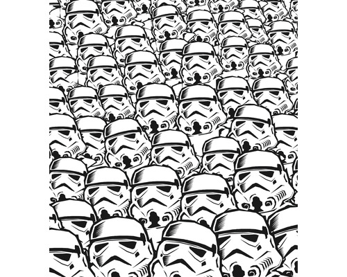 Fototapete Vlies IADX5-015 Into Adventure Star Wars Stormtrooper Swarm 5-tlg. 250 x 280 cm Fototapete Vlies IADX5-015 Into Adventure Star Wars Stormtrooper Swarm 5-tlg. 250 x 280 cm