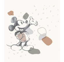 Fototapete Vlies IADX5-045 Into Adventure Disney Mickey Organic Shapes 5-tlg. 250 x 280 cm
