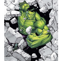 Fototapete Vlies IADX5-060 Into Adventure Hulk Breaker 5-tlg. 250 x 280 cm