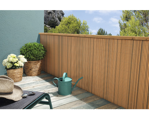 Balkonszene mit Bambuszaun, Pflanzen und Gießkanne