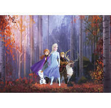 Fototapete Vlies IADX8-005 Into Adventure Disney Frozen Autumn Glade 8-tlg. 400 x 280 cm