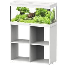 Weißes Aquarium mit Unterschrank und Pflanzen