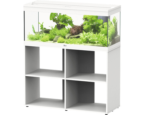 Aquariumkombination aquatlantis Prestige 100 Schrank offen weiß Aquarium mit Pflanzen und Fischen auf einem Unterschrank mit Regalfächern