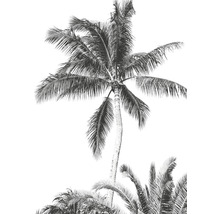 Fototapete Vlies IAX4-0011 Into Adventure Retro Palm 4-tlg. 200 x 280 cm