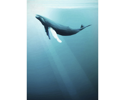 Fototapete Vlies IAX4-0045 Into Adventure Artsy Humpback Whale 4-tlg. 200 x 280 cm