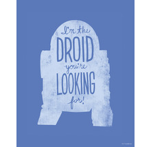 Poster Star Wars Silhouette Quotes R2D2 30x40 cm