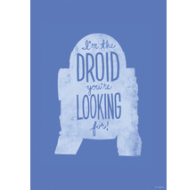 Star Wars Poster mit dem Zitat: Ich bin der Droide, den Sie suchen.