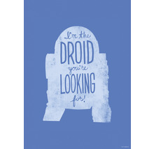 Star Wars R2-D2 Poster mit dem Zitat Ich bin der Droide, den Sie suchen