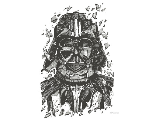 Poster Star Wars Darth Vader Drawing 40x50 cm