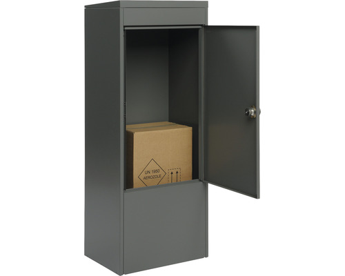 Paketbriefkasten mit geöffneter Tür und Paket