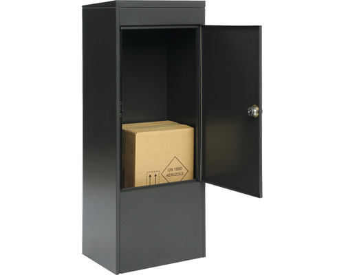 Paketbox mit geöffneter Tür und Paket