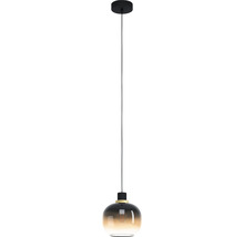 Pendelleuchte mit Glasschirm für Innenräume