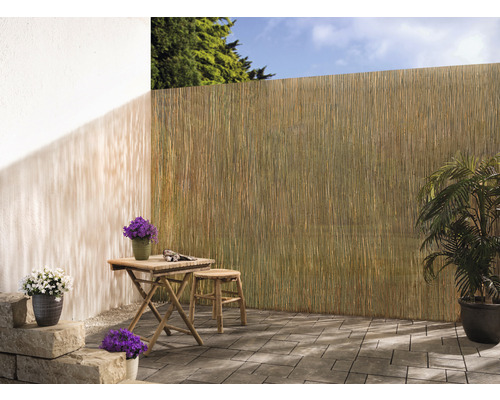 H4L Schilfmatte Sichtschutz 600x50cm – Naturmatte Für Garten & Balkon, Wind- Und Sonnenbeständig