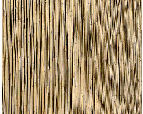 Sichtschutzmatte Schilfrohr 600 x 180 cm